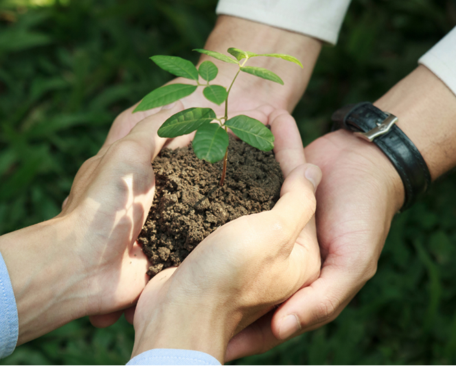 Minimum Residual Waste with Highest Environmental Standard