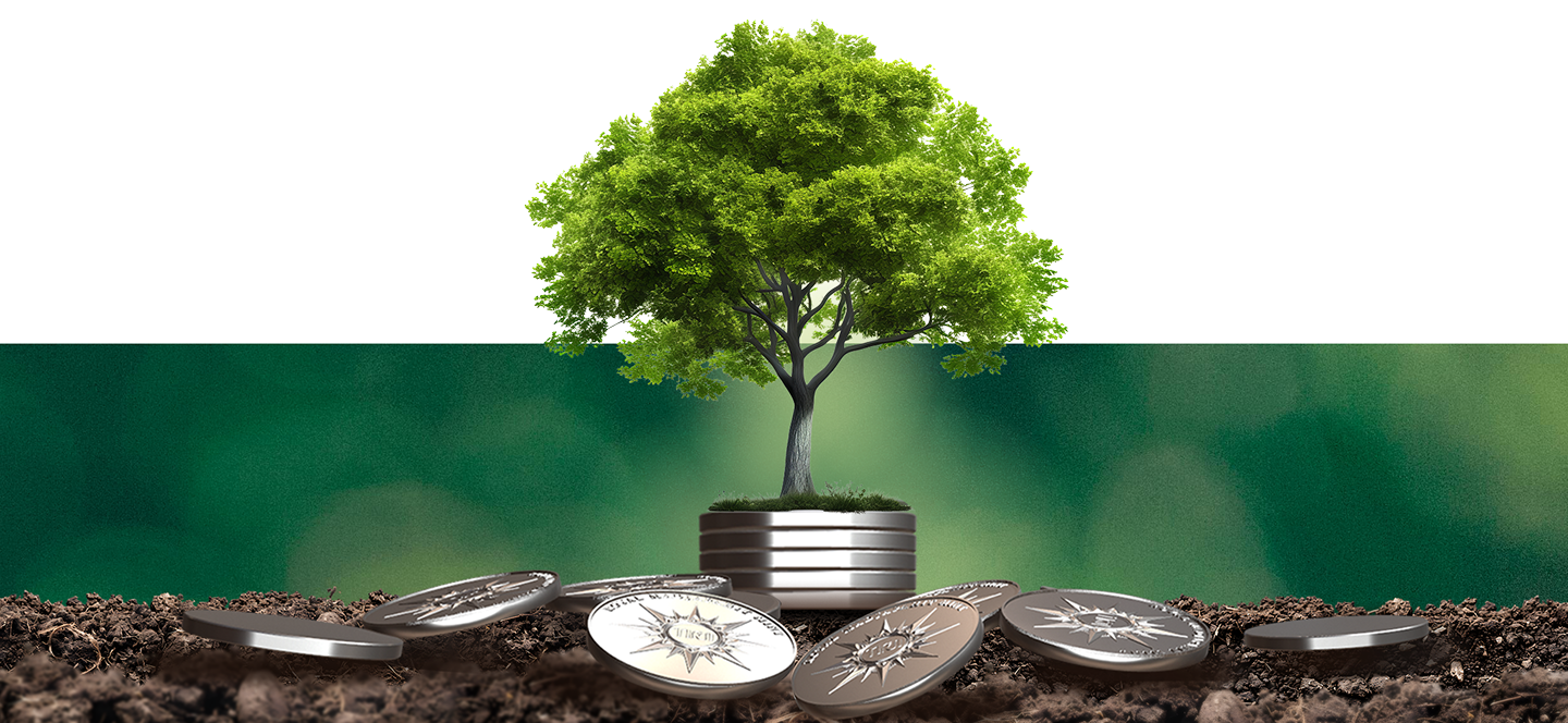 GROWING INTO SUSTAINABILITY